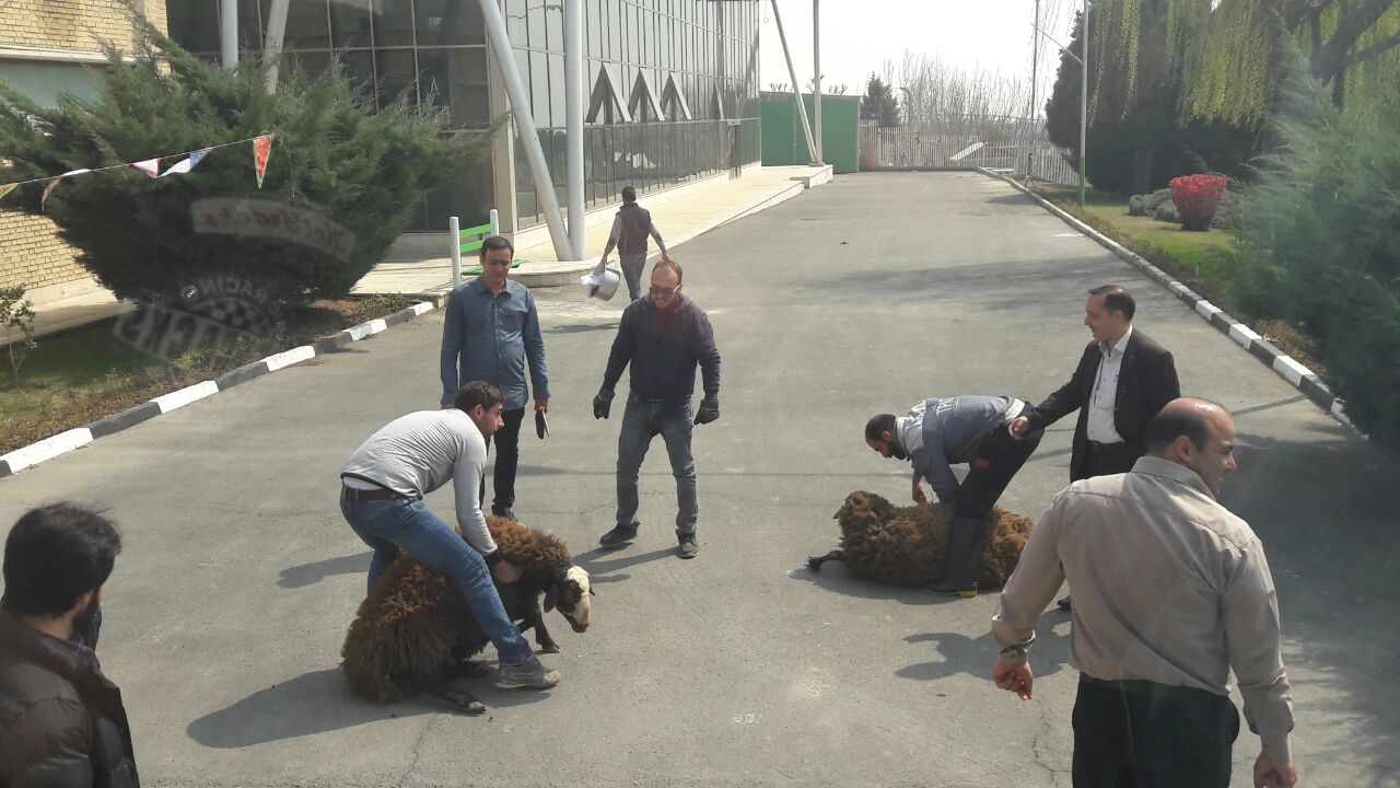 مراسم رونمایی از اتوبوس اختصاصی تیم ملی فوتبال ایران+ تصاویر