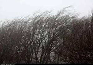 وزش باد پیش بینی هواشناسی برای سمنان