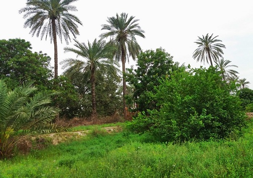 روز طبیعت کجا برویم