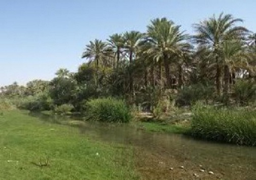 روز طبیعت کجا برویم