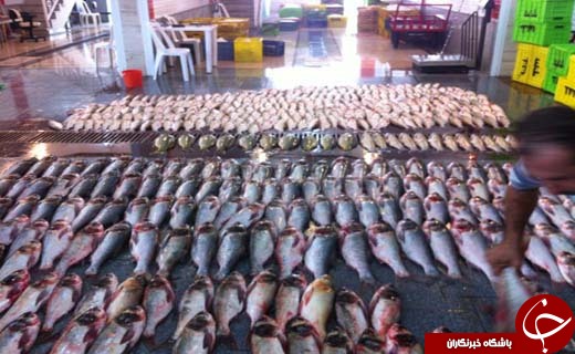 نگاهی گذرا به مهمترین رویدادهای 8 فروردین در مازندران