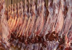 شهرضا دومین تولید کننده گوشت قرمز در استان اصفهان