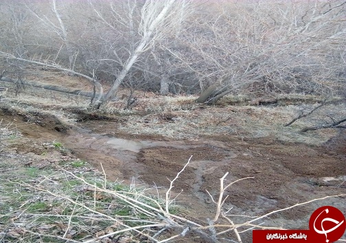 رانش زمین در روستای حسن آباد ضیاآباد