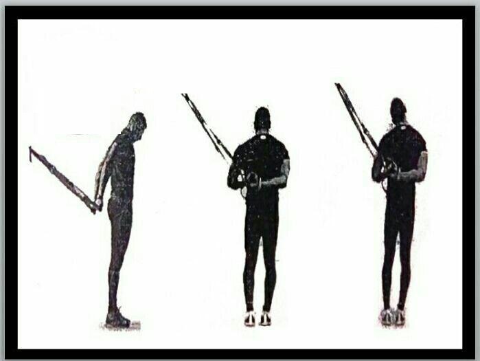 چربی سوزی و عضله سازی با ورزش تی آر ایکس (TRX)