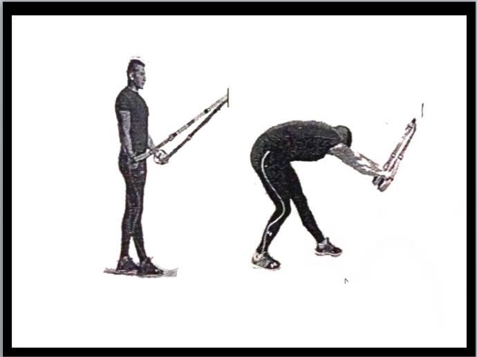 چربی سوزی و عضله سازی با ورزش تی آر ایکس (TRX)