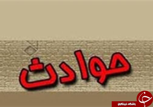 از سفر به دنیای حیوانات تا نجات نوجوان توسط امدادگران