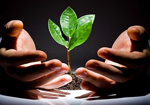 فراز و نشیب‌های نظام سلامت کشور در یک نگاه