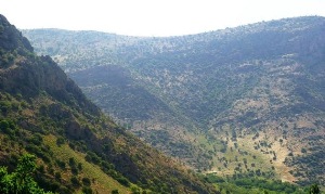 دره شهدا در روز طبیعت + تصاویر