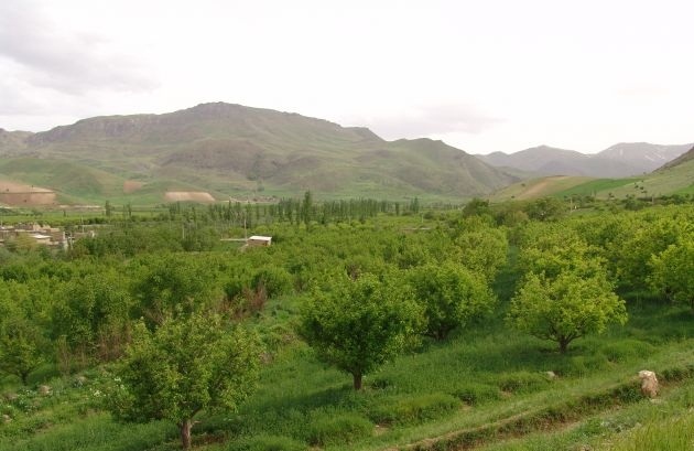دره شهدا در روز طبیعت + تصاویر