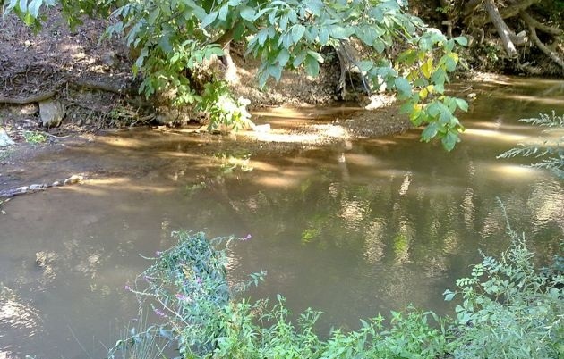 دره شهدا در روز طبیعت + تصاویر