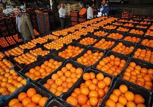 توزیع بیش از 1000 تن میوه در استان سمنان