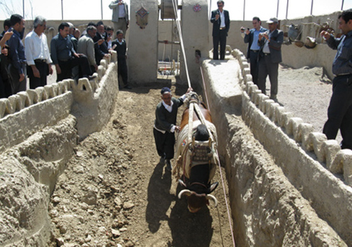 تنها گاوچاه نصف جهان