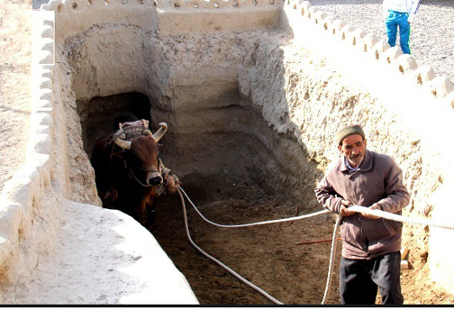 تنها گاوچاه نصف جهان