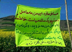 عصبانیت یک کشاورز گالیکشی از سلفی های مخرب