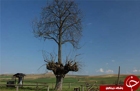 مکان&zwnj;های عجیب و غریبی که هیچ توضیح علمی برای آن&zwnj;ها وجود ندارد+تصاویر
