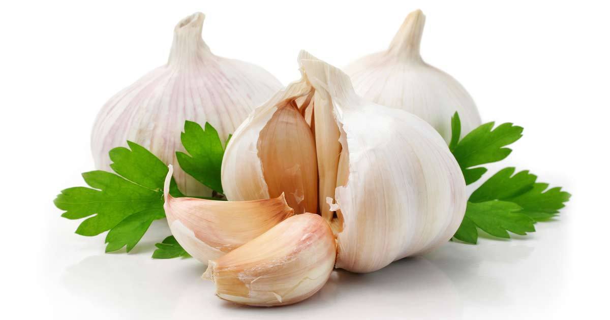 خوراکی&zwnj;های سفید رنگی که حتما باید به رژیم غذایی&zwnj;تان اضافه کنید