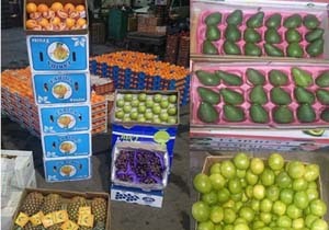 کشف بیش از 527 تن محصول کشاورزی قاچاق در هرمزگان