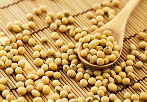 خواص سویا برای سلامتی