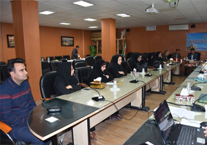 کارگاه آموزشی مدارس مروج سلامت در یاسوج