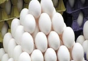 ورود اولین محموله تخم‌مرغ وارداتی به اردبیل