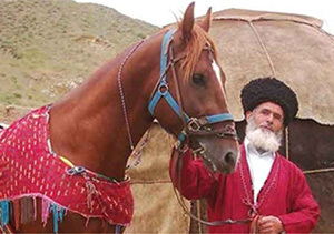 پرداخت تسهیلات به پرورش دهندگان اسب اصیل ترکمن