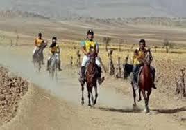 سیرجان میزبان مسابقات استقامت سوارکاری استان