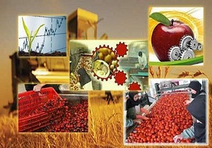 بهره برداری از 20 واحد فرآوری در بخش کشاورزی استان سمنان
