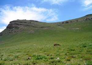 عملیات کپه‌کاری و ذخیره نزولات آسمانی در گچساران