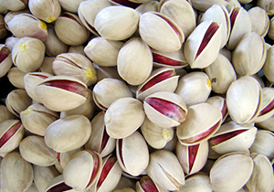 ارسال ۲۰ تن پسته صادراتی فارس به روسیه