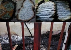 گذری در برکات وجود امامزادگان در کشور + فیلم