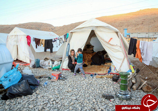 تا آرامش سهمتان شود در کنارتان خواهیم ماند
