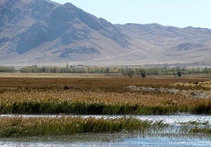 مهار آتش سوزی تالاب بین‌المللی گندمان