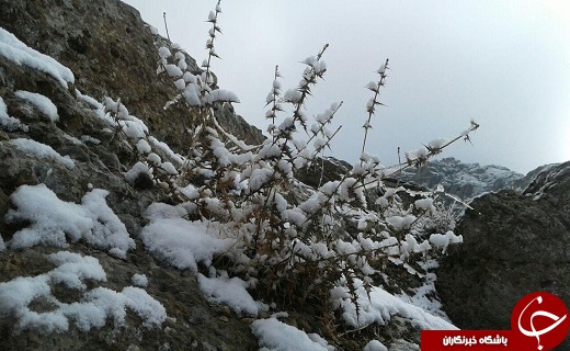 نمایی زیبا از اولین برف زمستانی در &laquo;سراستان&raquo; + تصاویر