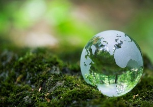 آموزش علوم محیط زیست در مدارس آستانه اشرفیه