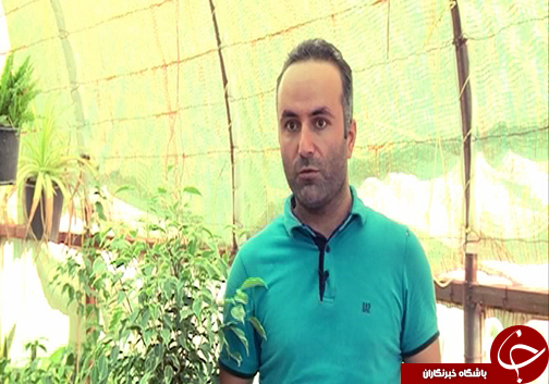 شغل مرتبط با مدرک مشکل اصلی کارجویان / گزارش از بانوی صادرکننده گل و گیاه
