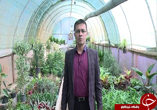 شغل مرتبط با مدرک مشکل اصلی کارجویان / گزارش از بانوی صادرکننده گل و گیاه
