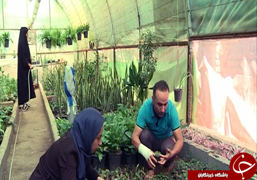 شغل مرتبط با مدرک مشکل اصلی کارجویان / گزارش از بانوی صادرکننده گل و گیاه