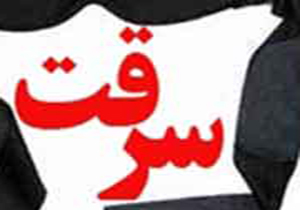 کاهش ۲۱ درصدی سرقت در مرودشت