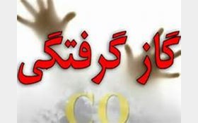 مسمومیت 4 تن با گاز مونوکسید کربن در خیابان مجیدیه شمالی