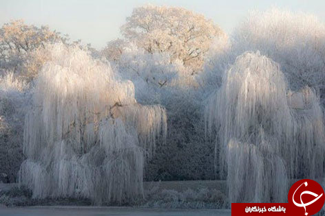 عجیب&lrm;ترین  غریب&zwnj;ترین پدیده هایی که فقط در زمستان دیده می&zwnj;شوند!
