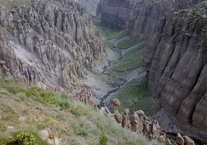 شیروان دره اردبیل یکی از زیستگاههای ممتاز کشور است