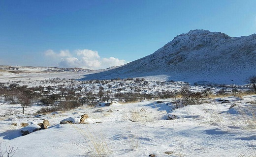 طبیعت زیبای برفی در &laquo;زرند&raquo; + تصاویر