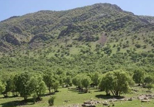 اجرای طرح توسعه زاگرس میانی در لرستان