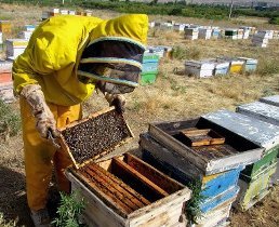 برگزاری دوره‌های مهارت آموزی در اندیکا برای زنان