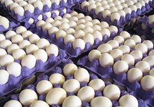 اصفهان کمبود تخم‌مرغ ندارد