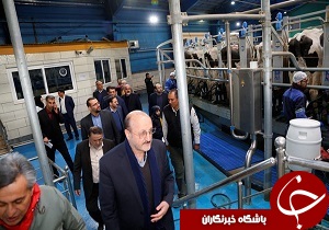 تاکید استاندار بر استفاده از فناوری نوین در صنعت دامپروری
