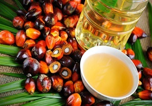 روغن پالم سرطان زا نیست !