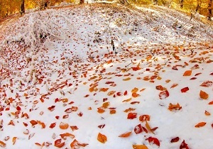 برف و باران کرمانشاه تا آخر امشب ادامه دارد