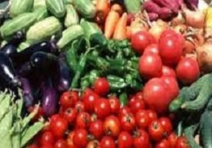 ممنوعیت کشت محصولات جالیزی در اراضی بالادستی بیله سوار