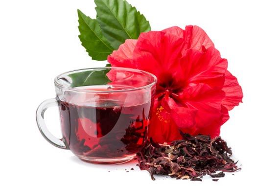 چای ترش  درمان غلظت خون